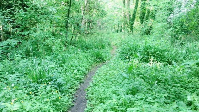 كافان Lacken Millhouse And Gardens المظهر الخارجي الصورة