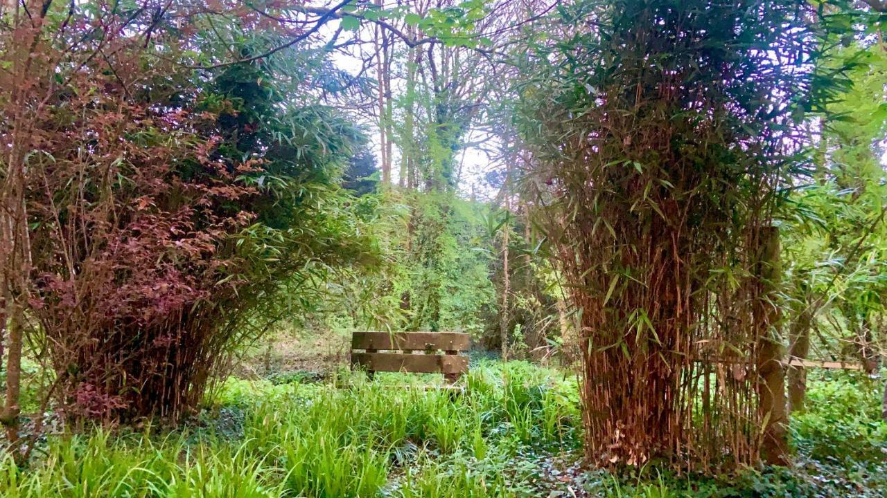 كافان Lacken Millhouse And Gardens المظهر الخارجي الصورة