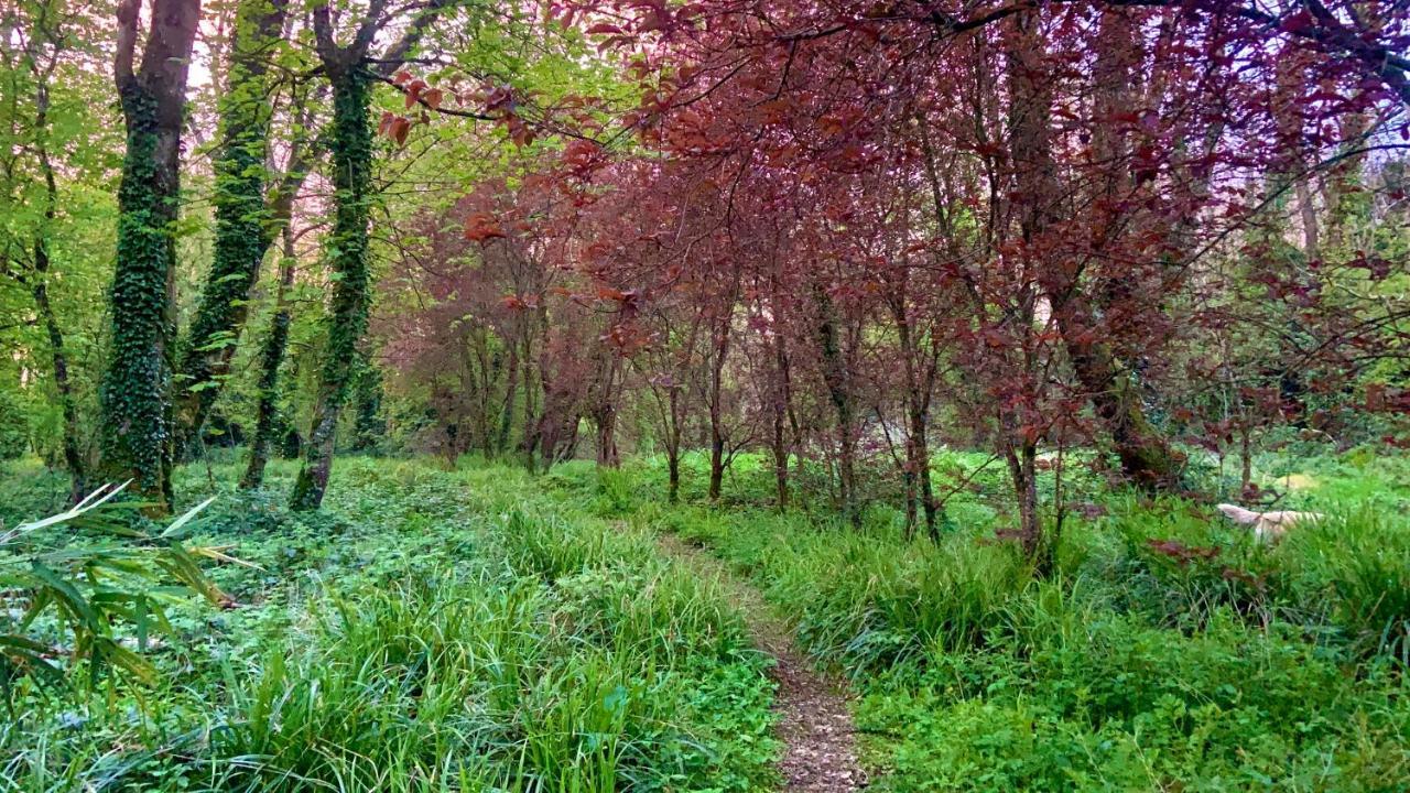كافان Lacken Millhouse And Gardens المظهر الخارجي الصورة